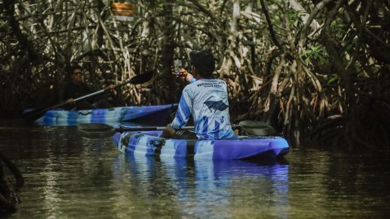 Nusa Lembongan: Kayak Bakau atau Pengembaraan Paddleboard
