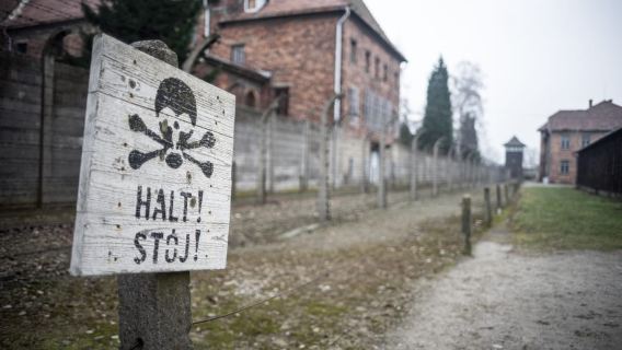 Auschwitz-Birkenau Full-Day Tour from Lodz by Private Car