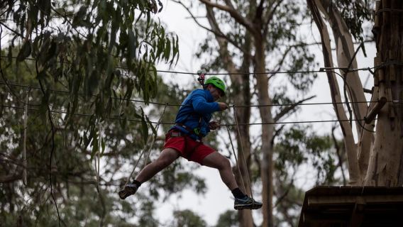 Lorne: Entrada al Super Circuito Live Wire Park