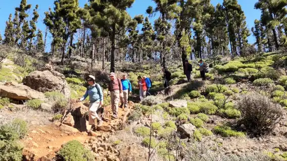 Gran Canaria: "Peaks of Gran Canaria" Hiking Tour