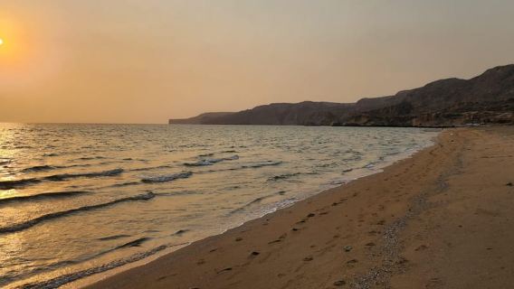 Dune Bashing, Sandboarding, Camel Ride & Optional ATV Ride