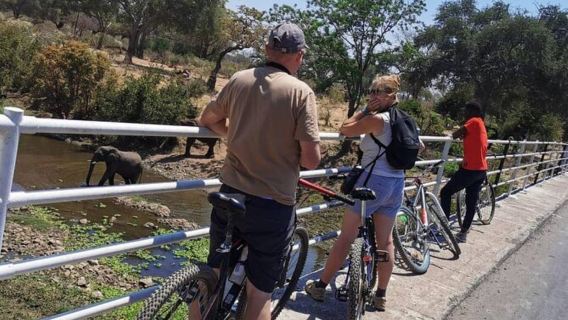 Zambia : Victoria Falls : Nature Bike Tour