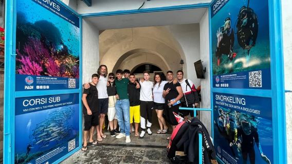 Sorrento: Tur Snorkeling Sore Hari Bersama Ahli Biologi Kelautan