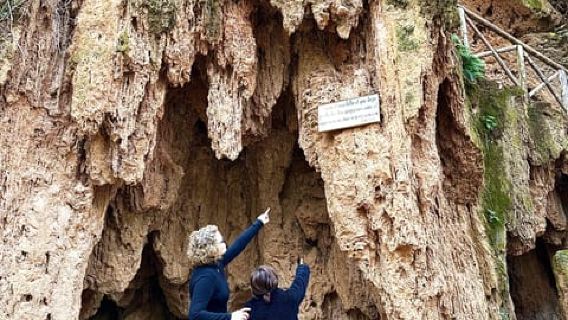 Madrid: Explore the Monasterio de Piedra and discover Sigüenza