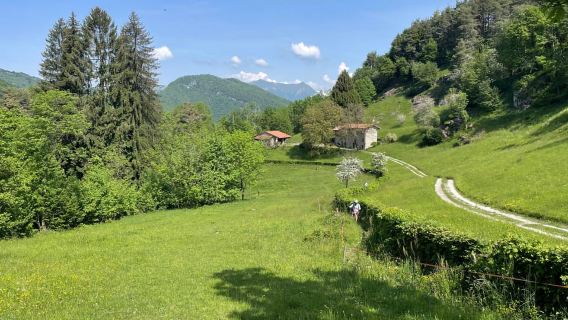Caminata tranquila y cena panorámica. Bellagio