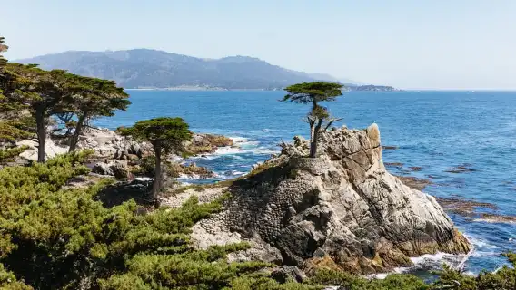 從舊金山出發：蒙特利和卡梅爾一日遊