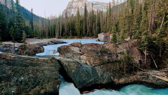 Lake Louise, Moraine, Emerald Lake, Johnston Canyon und Banff-Tour