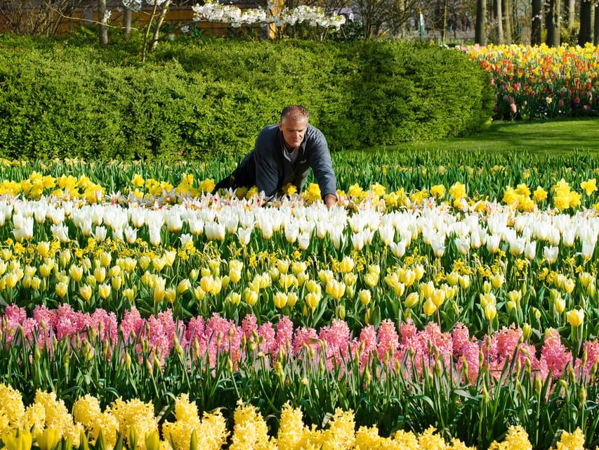 Amsterdam: visita alla fattoria dei tulipani, Keukenhof e crociera ai mulini a vento