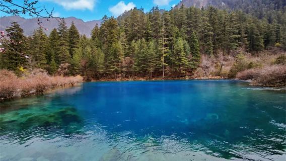 四川九寨溝一日自由行【門票+溝內觀光車組合】