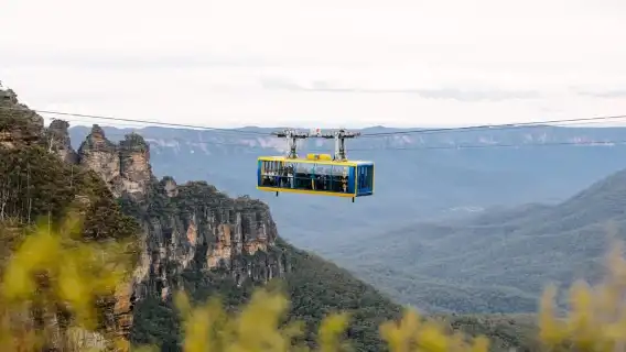雪梨：藍山風景世界、野生動物園和午餐