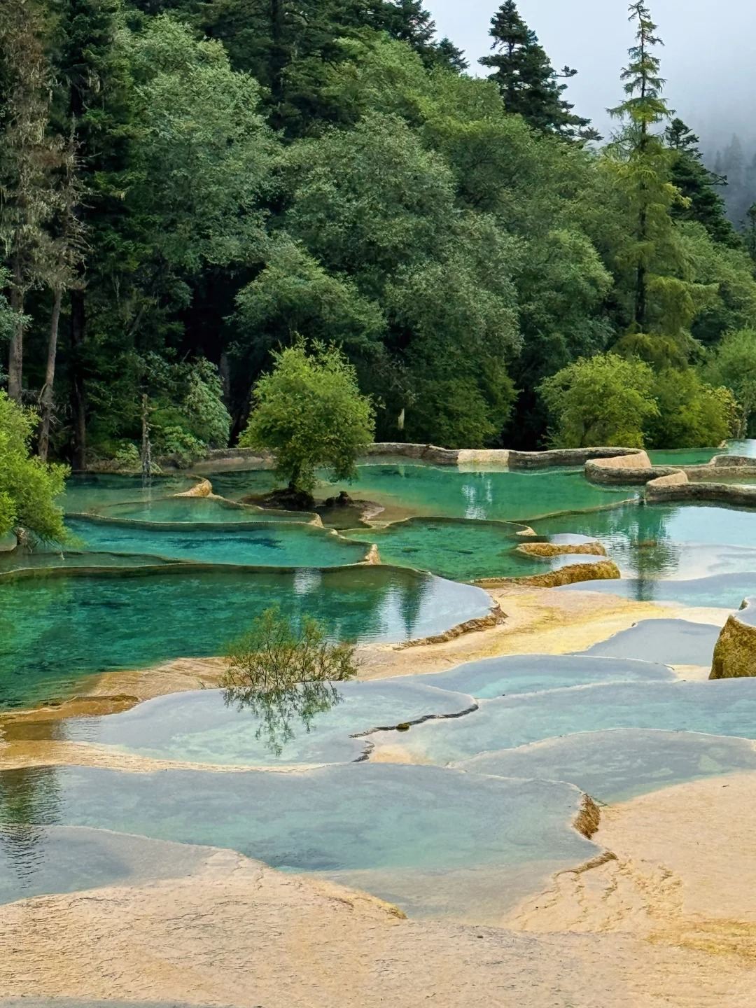 จิ่วจ้ายโกว-อุทยานแห่งชาติหวงหลง-สถานีหวงหลงจิ่วจ้ายโกว เดินทางด้วยรถตู้ธุรกิจ เลือกได้ระหว่างรถโดยสารร่วม/เหมารถ