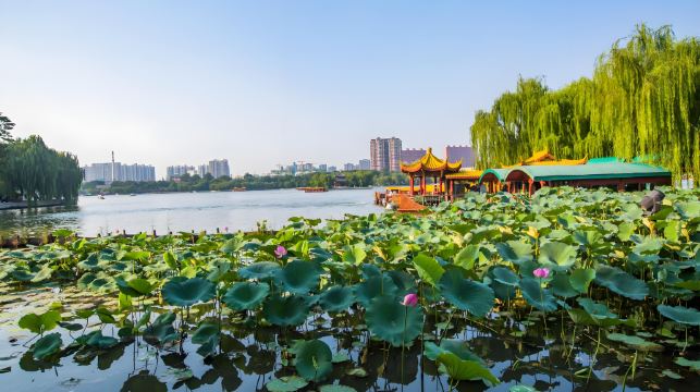 濟南趵突泉 千佛山 大明湖 超然樓 黑虎泉 中文拼團一日遊