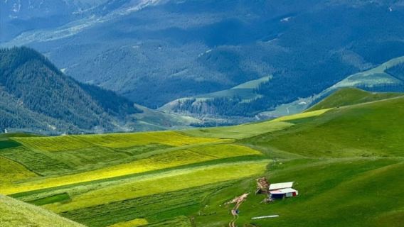 【包車】青海熱門設施包車一日【每日8小時，行程可自行訂製】