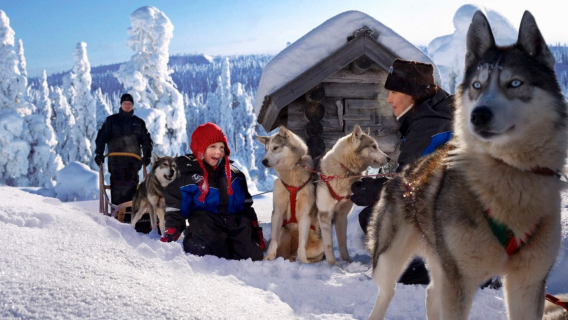 tour di un giorno al Parco zoologico di Ranua in Finlandia con servizio clienti in cinese e guida in inglese