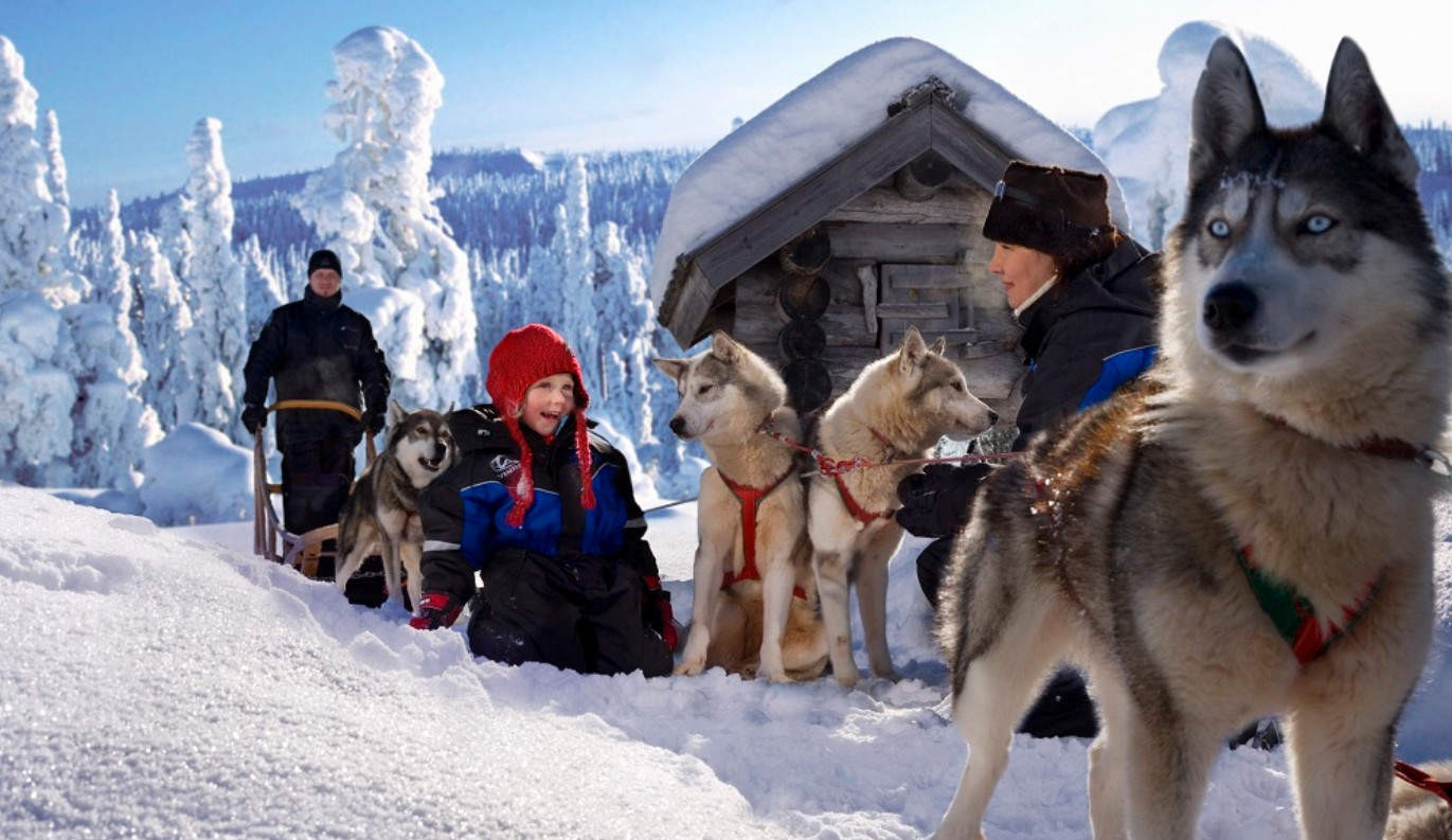 Ranua Zoo 1-day tour in Finland (Customer support in Chinese + English guide)