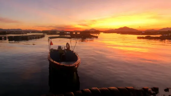 Shenzhen Nan'ao Sea Fishing Club (Sea Fishing + Team Building + Yacht Sightseeing)