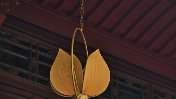 Hangzhou Lingyin Temple + Feilai Peak half-day tour [skip-the-line fast entry + cultural guide + complimentary money pouch]