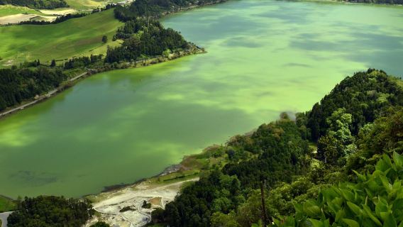 Furnas: Visita guiada a plantaciones de té, lago y volcán