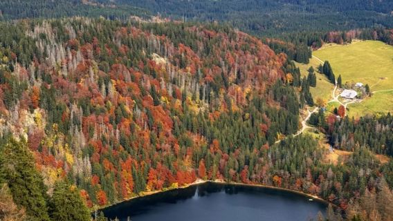 Munich to Konigssee + Magic Forest + Alpine Lake Round-Trip - Private Charter - Top Pick