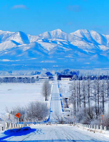 日本北海道+小樽天狗山一日遊/行程可調-可訂製