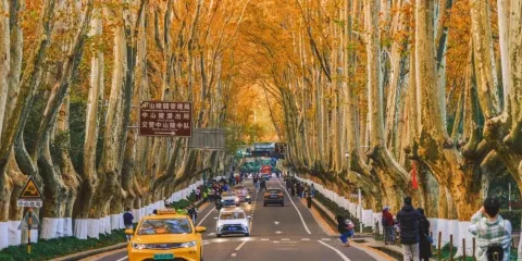 15人團 南京鐘山風景區 中山陵景區+美齡宮+明孝陵+音樂台一日遊