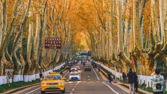 南京鐘山|中山陵景區+美齡宮+明孝陵+音樂台一日遊