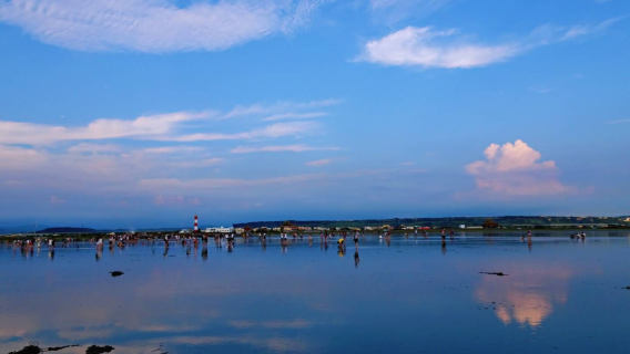 Taichung, Taiwan, China: Gaomei Wetlands + Sun Moon Lake Special Tour