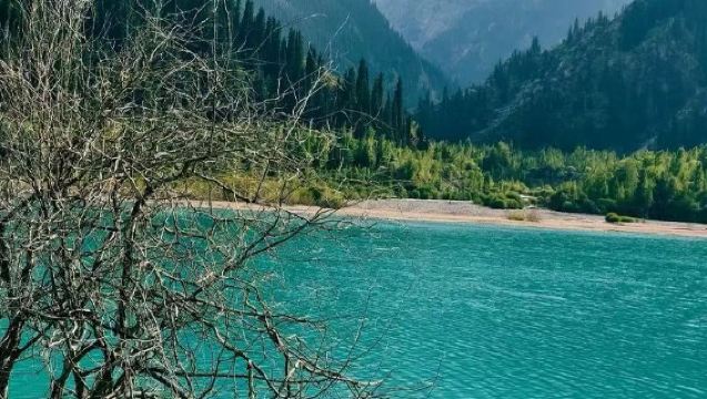 Passeio de um dia com snorkel e visita a ilhas nas Filipinas - Bohol | Ilha Virgem + Ilha de Balicasag (grupo pequeno de 1-15 pessoas)