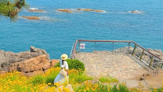 Huangdao Golden Beach Day Trip [Chartered vehicle, one group per order, choice of attractions, private customization]