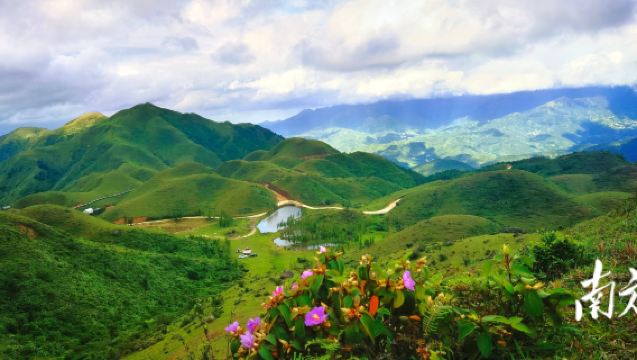 Maoming, Guangdong guide services including attraction tours, admission ticket booking, hotel reservations, and recommendations for delicious food and photo spots. Available with car service for an immersive local experience.