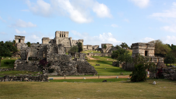 Private charter tour - Playa del Carmen + Tulum private charter 1-day tour