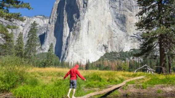 From San Francisco: Full Day Yosemite and Giant Sequoia Tour