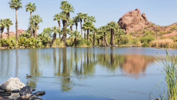 Lawatan Sewa Peribadi Phoenix, Amerika Syarikat | Taman Tumbuhan Gurun + Taman Papago + Lawatan Sehari Bandar Perlombongan Emas ※ Boleh Dilaras