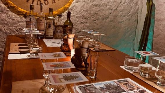Experiencia de Cata de Tequila