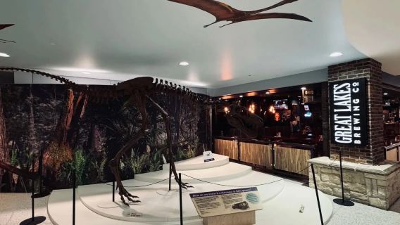 VIP lounge pass at Cleveland Hopkins International Airport CLE|lounge pass|VIP|international departure rest/dining/flight waiting