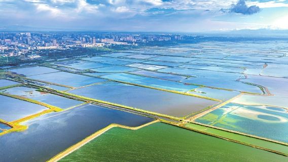 Passeio privativo de um dia pelo Palácio Yongle em Yuncheng, Shanxi + Templo Guangrenwang + Antigo Porto de Fengling + Lago Salgado de Yuncheng com transporte privativo