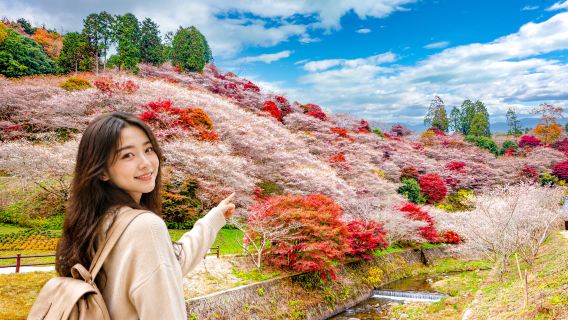 [Guaranteed Departure] Autumn Nagoya Korankei gorge + Magome-juku + Enakyo & More Day Tour