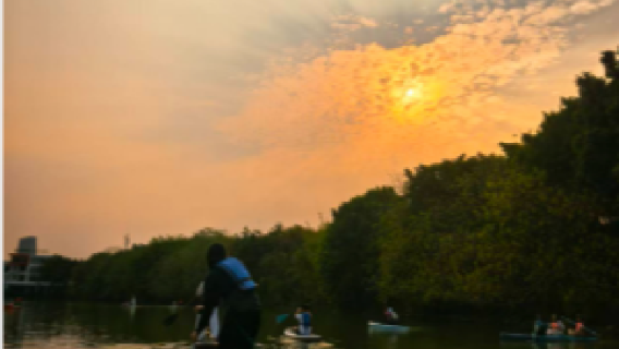 廣州日落槳板環海珠湖半日營！槳板環湖+水上遊戲！