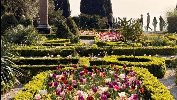 Trieste: Napoleonic Way, Prosecco & Miramare Walking Tour