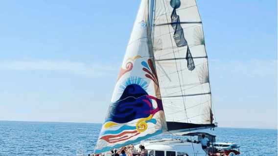 Marbella: Gruppetur med delfinudkigge på katamaran med snacks