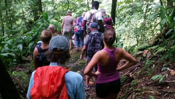 Roseau: Middleham Falls Hike & Titou Gorge Half-Day Trip