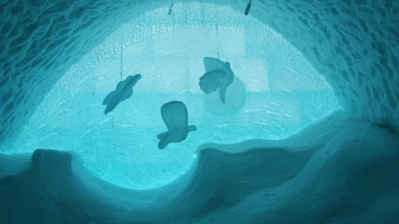From Abisko: Explore the Icehotel