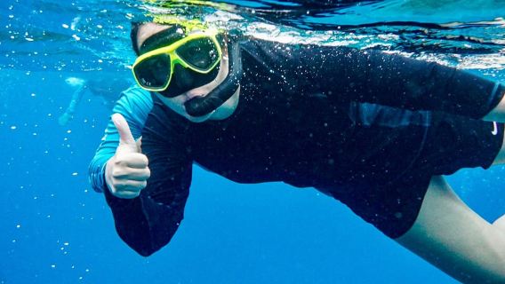 Uvita: Snorkeling at Caño Island
