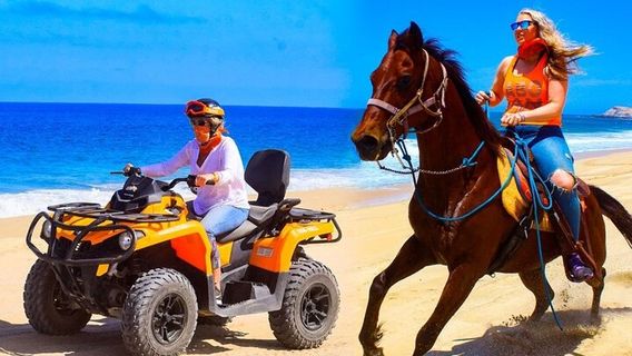 Cabo San LucasTours