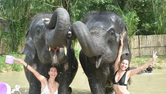 【買一送一|卡皮巴拉餵食】普吉島耐迪大象保護營半日遊 享旅拍