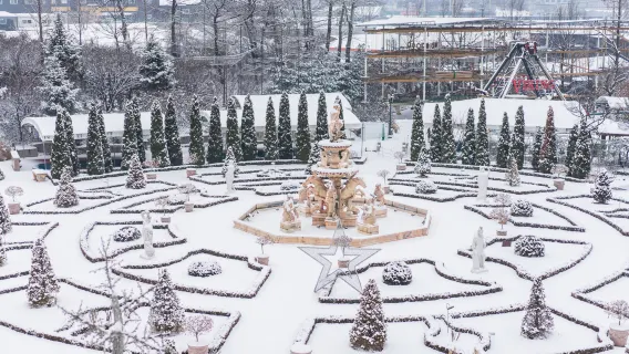 Winter limited one-day tour C in Incheon Gyeonggi: Alpine slide + sledding + romantic starry garden