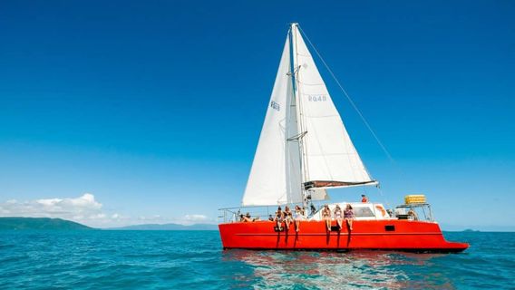 Airlie BeachTours