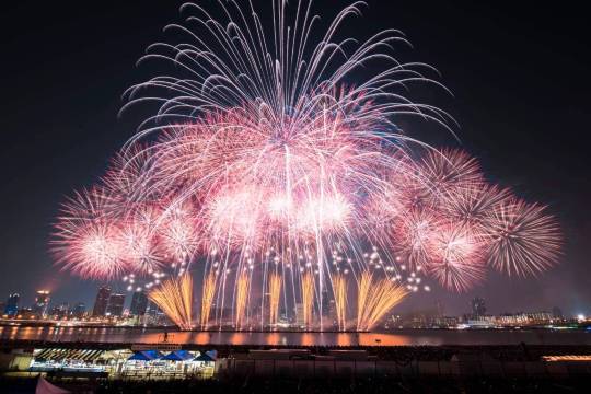 Japan Osaka Yodogawa Fireworks Festival 2024 One-Day Tour