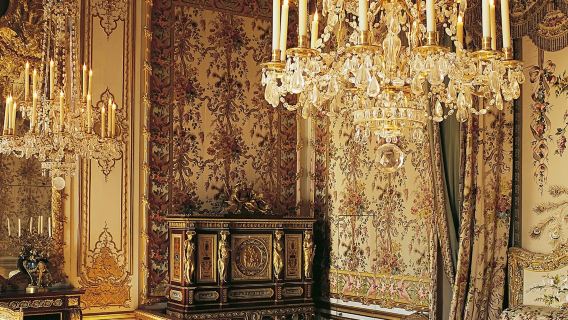 ヴェルサイユ宮殿と庭園：ガイド付きツアー + 交通機関