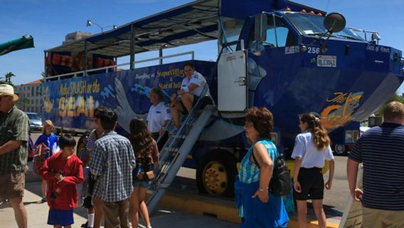 San Diego: 90-Minute Seal Tour with Amphibious Bus
